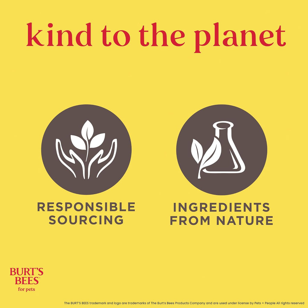 Cat Dander Remover Wipes, Unscented Soft Grooming Cloths with Colloidal Oat Flour + Aloe, Helps Reduce Flaking between Baths for Cats & Kittens, 50 Count