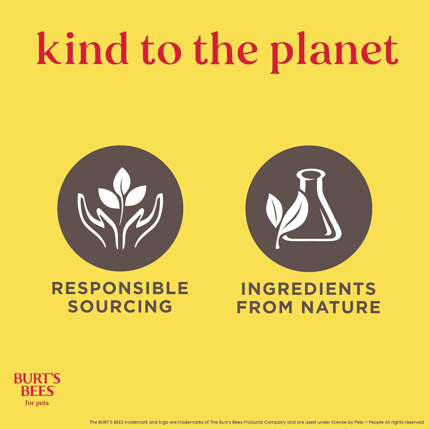 Cat Dander Remover Wipes, Unscented Soft Grooming Cloths with Colloidal Oat Flour + Aloe, Helps Reduce Flaking between Baths for Cats & Kittens, 50 Count