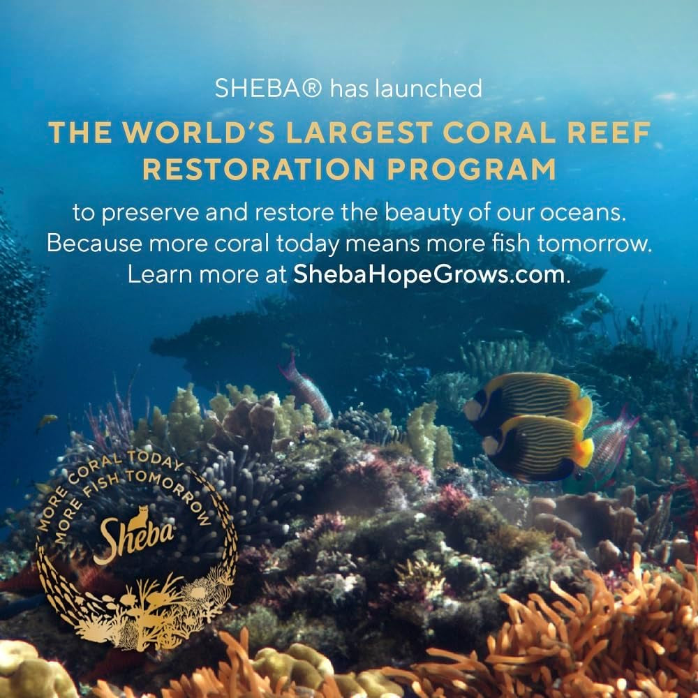 Perfect Portions Wet Cat Food Pate with Sustainable Salmon, Signature Seafood Entree, and Tender White Fish and Tuna Entree Variety Pack, 2.6 Oz. Twin Pack Trays (24 Count, 48 Servings)