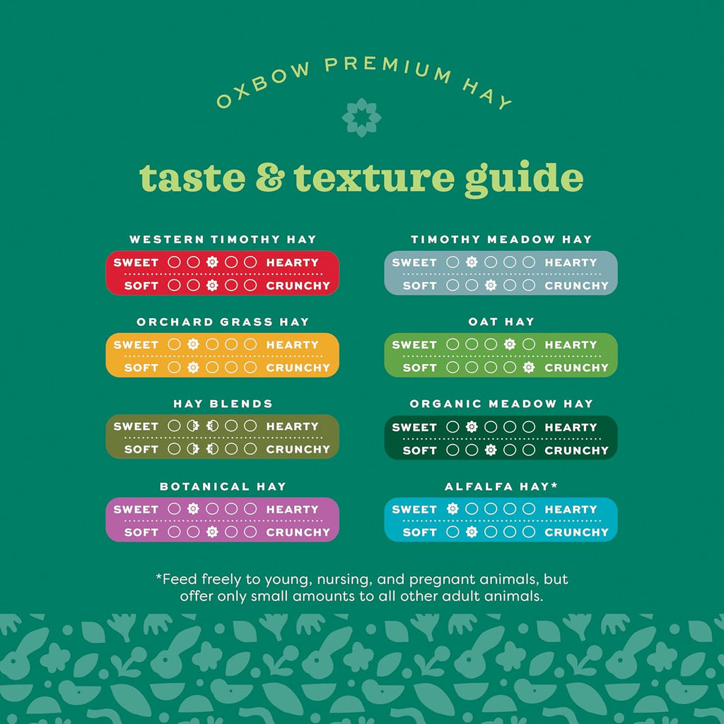 Western Timothy Hay, Guinea Pig Hay, Small Pet Bunny Supplies, All Natural Grass for Guinea Pig, Bunny, Chinchilla & Hamster,  Rabbit Supplies for Bunnies, 9 Lb Box