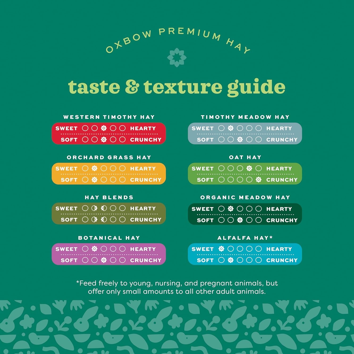 Western Timothy Hay, Guinea Pig Hay, Small Pet Bunny Supplies, All Natural Grass for Guinea Pig, Bunny, Chinchilla & Hamster,  Rabbit Supplies for Bunnies, 9 Lb Box