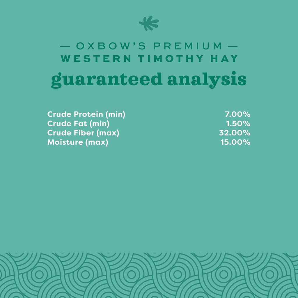 Western Timothy Hay, Guinea Pig Hay, Small Pet Bunny Supplies, All Natural Grass for Guinea Pig, Bunny, Chinchilla & Hamster,  Rabbit Supplies for Bunnies, 9 Lb Box