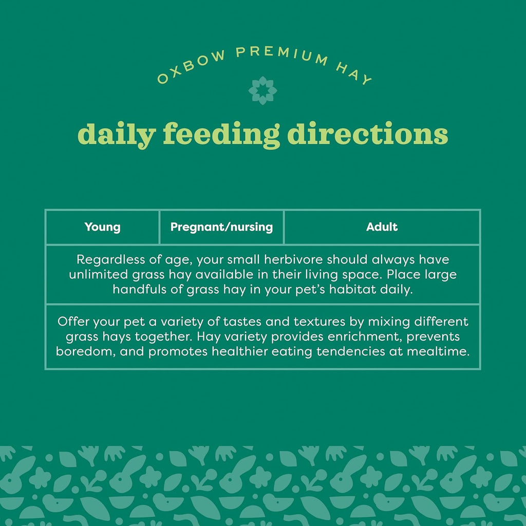 Western Timothy Hay, Guinea Pig Hay, Small Pet Bunny Supplies, All Natural Grass for Guinea Pig, Bunny, Chinchilla & Hamster,  Rabbit Supplies for Bunnies, 9 Lb Box