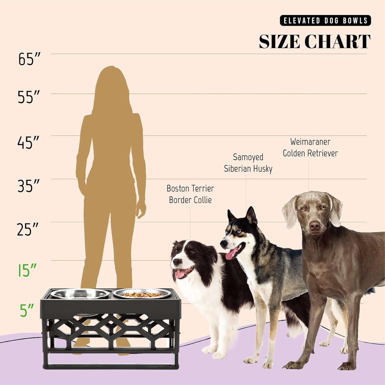 Adjustable Elevated Dog Bowl Set for Medium and Large Breeds, Includes 2 Stainless Steel Bowls and Anti-Slip Base