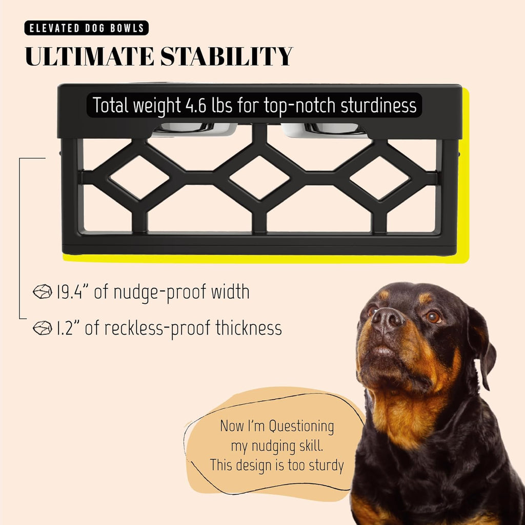Adjustable Elevated Dog Bowl Set for Medium and Large Breeds, Includes 2 Stainless Steel Bowls and Anti-Slip Base