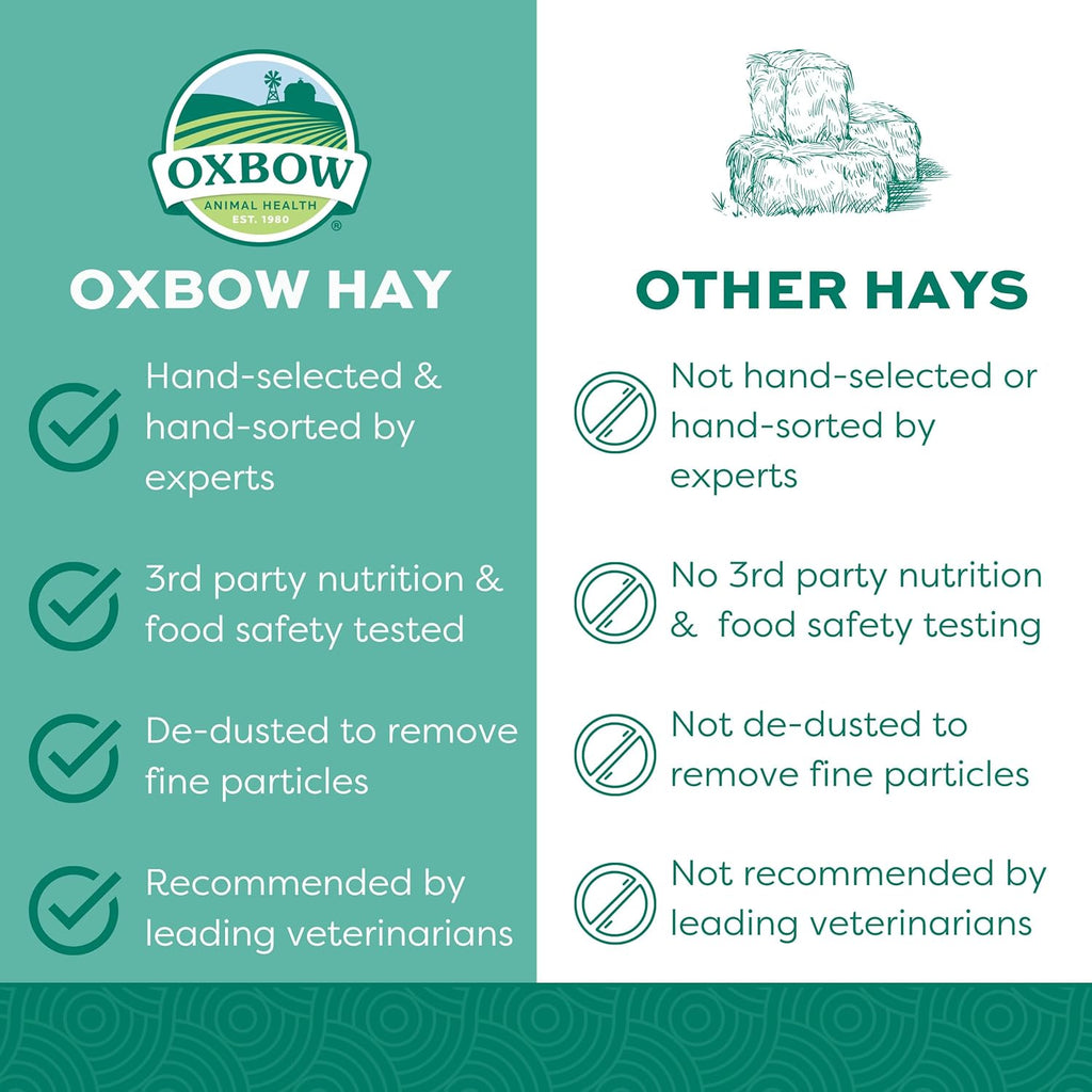 Western Timothy Hay, Guinea Pig Hay, Small Pet Bunny Supplies, All Natural Grass for Guinea Pig, Bunny, Chinchilla & Hamster,  Rabbit Supplies for Bunnies, 9 Lb Box