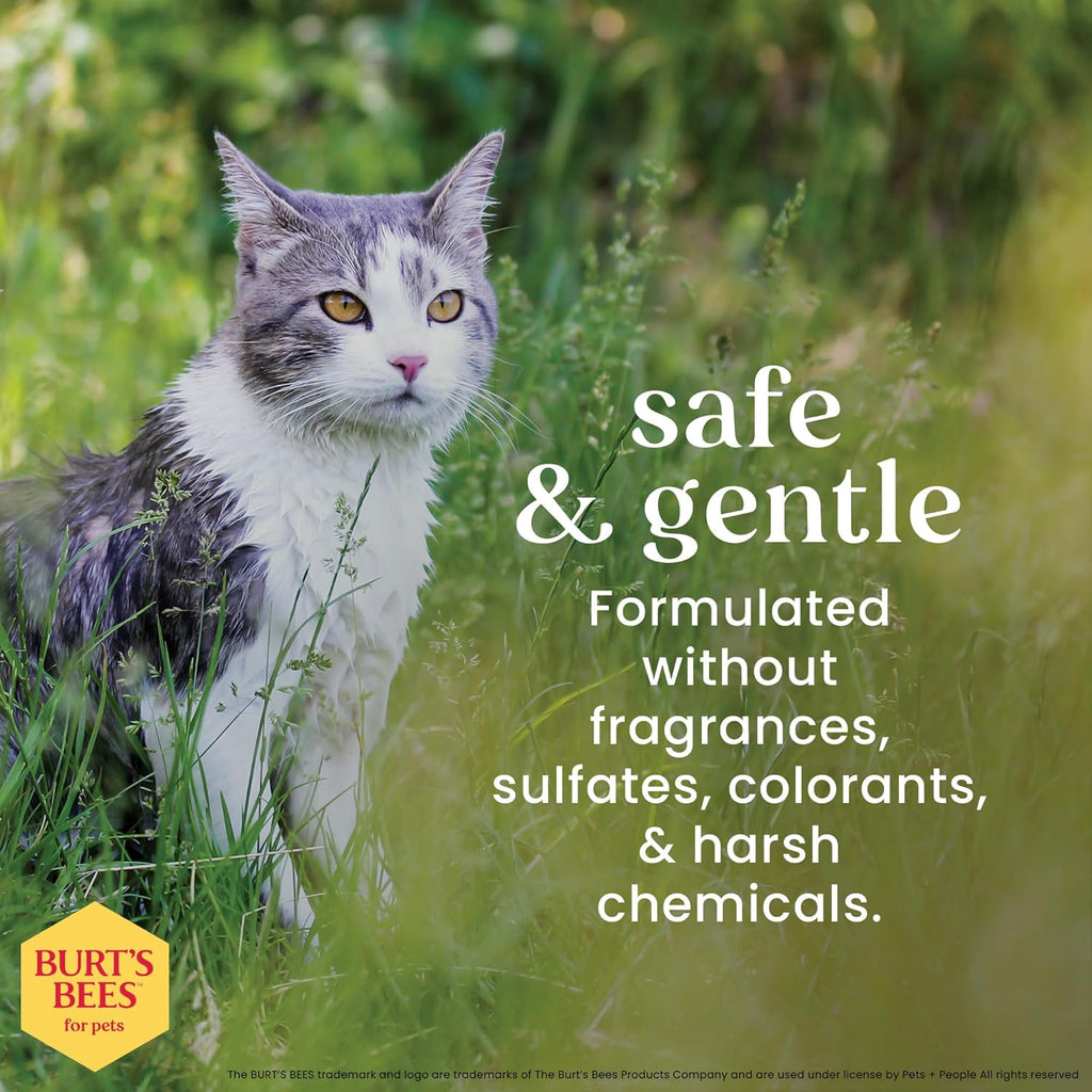 Cat Dander Remover Wipes, Unscented Soft Grooming Cloths with Colloidal Oat Flour + Aloe, Helps Reduce Flaking between Baths for Cats & Kittens, 50 Count