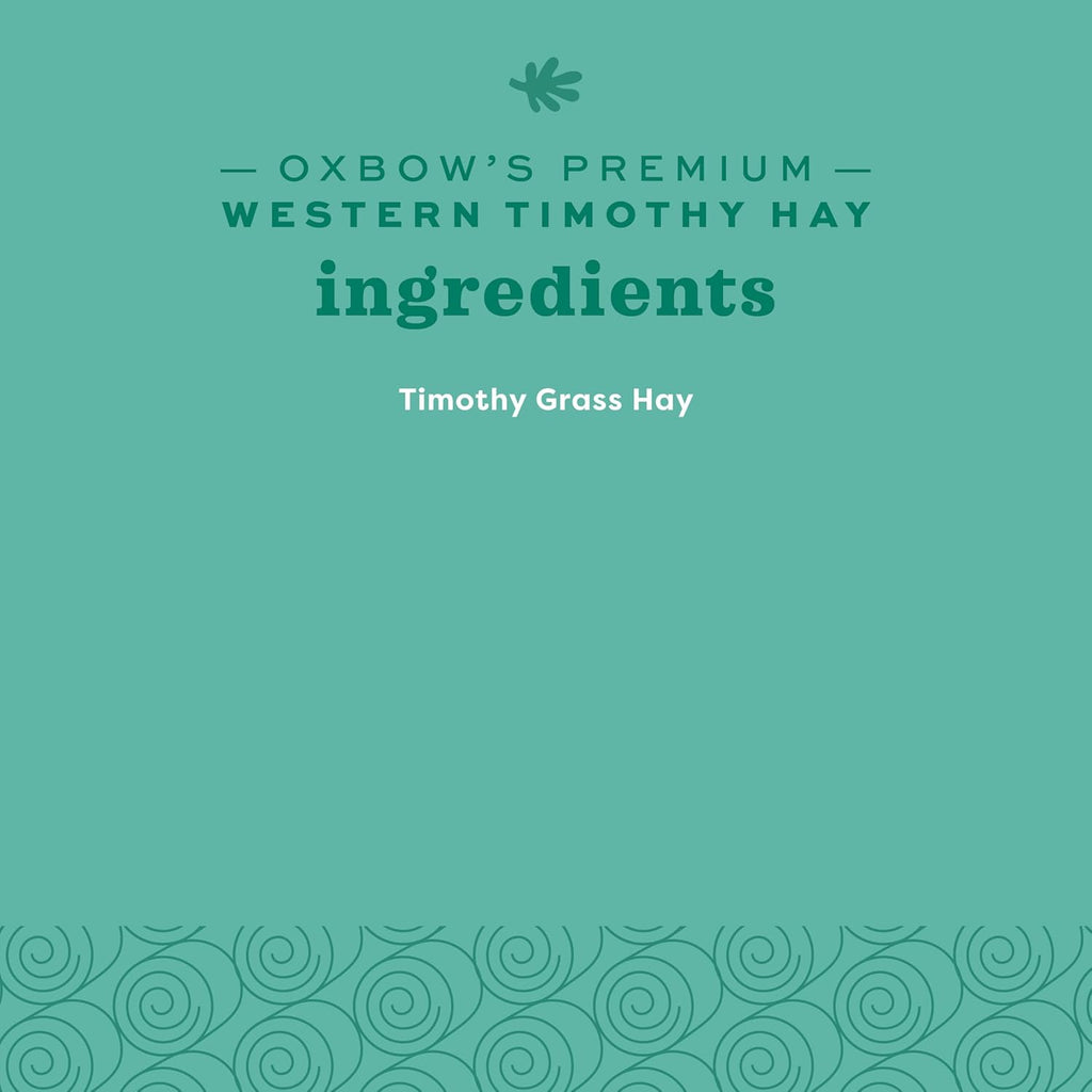 Western Timothy Hay, Guinea Pig Hay, Small Pet Bunny Supplies, All Natural Grass for Guinea Pig, Bunny, Chinchilla & Hamster,  Rabbit Supplies for Bunnies, 9 Lb Box