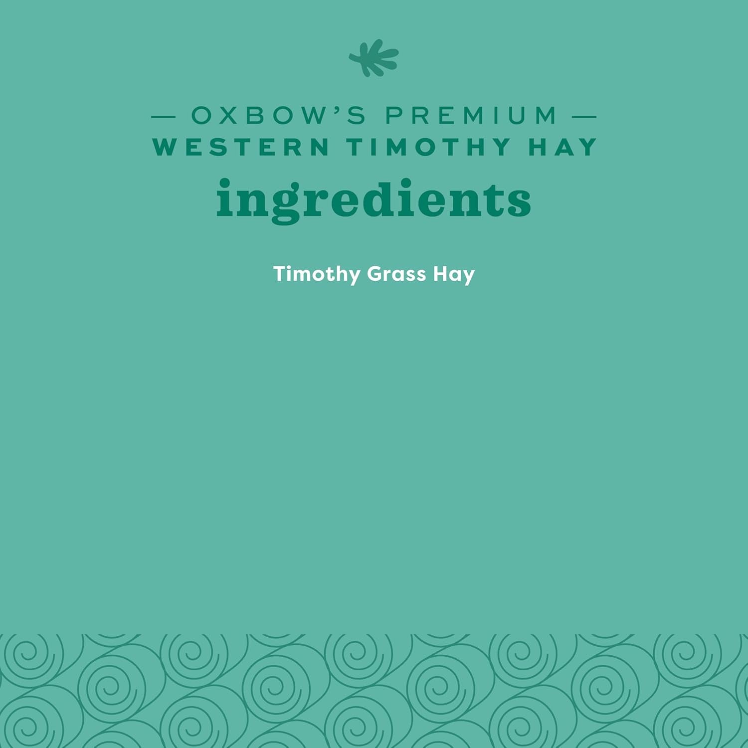 Western Timothy Hay, Guinea Pig Hay, Small Pet Bunny Supplies, All Natural Grass for Guinea Pig, Bunny, Chinchilla & Hamster,  Rabbit Supplies for Bunnies, 9 Lb Box