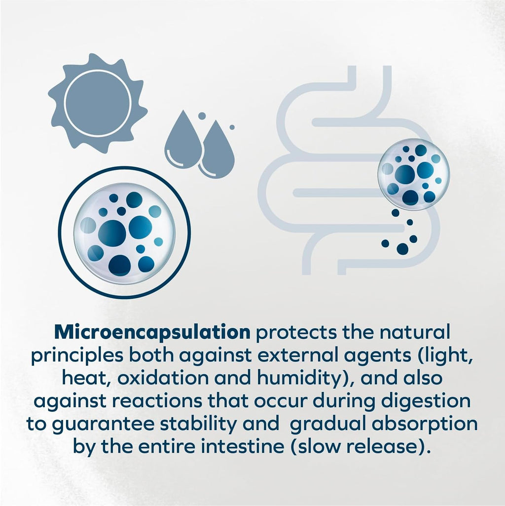 - Dog Food, Vet Formulated Wet Dog Food for Kidney Support, Non-Gmo, Lamb Flavor, Made in Italy (3.5 Oz, 32 Pack)